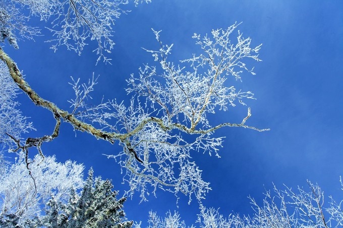 哈爾濱雪鄉(xiāng)雪谷旅游記錄