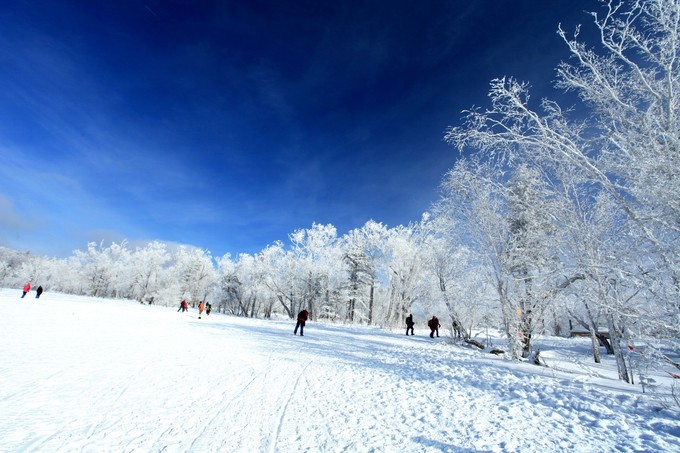 哈爾濱雪鄉(xiāng)雪谷旅游記錄