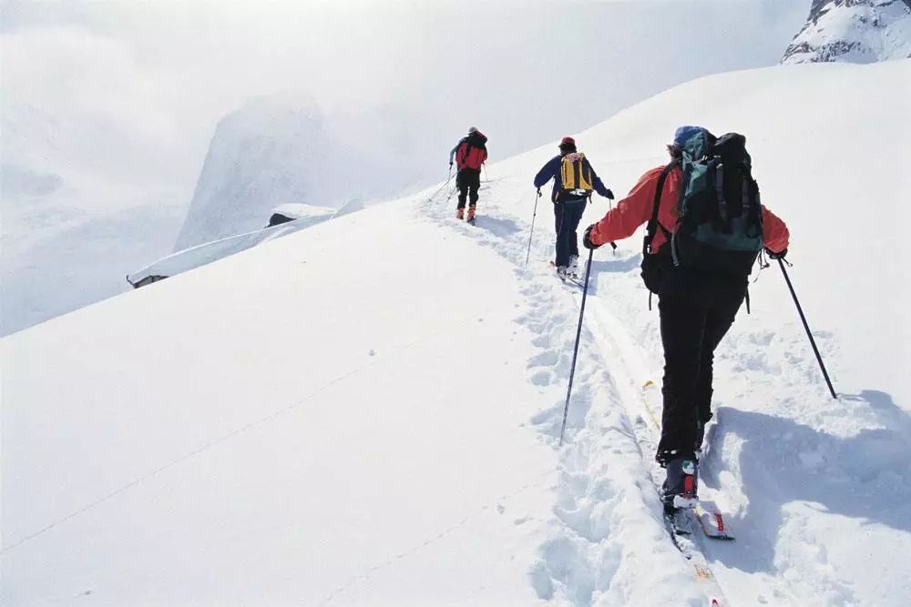 南山文化旅游區(qū)游玩攻略